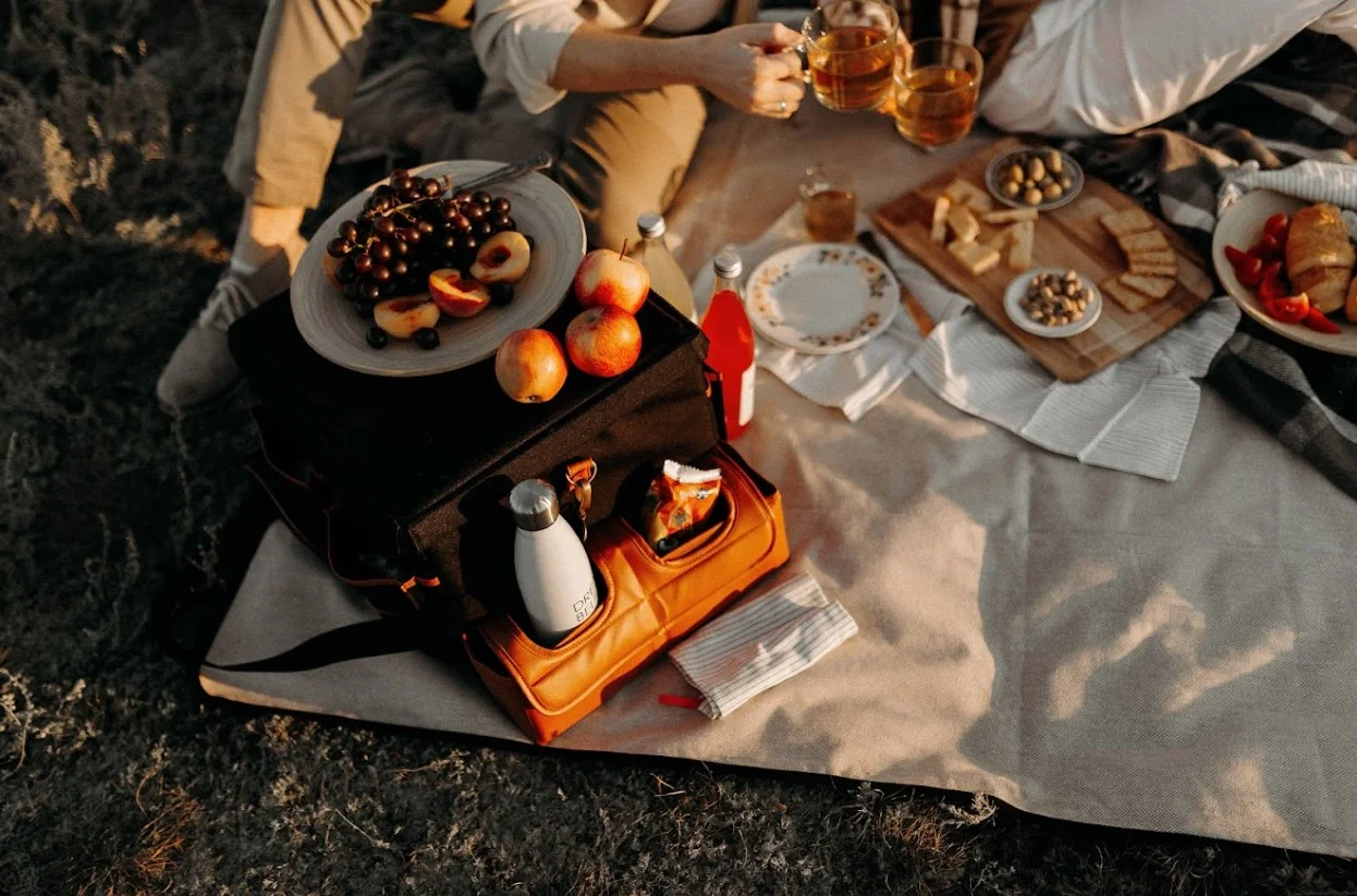 modern picnic blanket